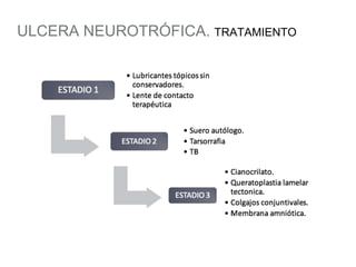 ULCERA NEUROTRÓFICA. TRATAMIENTO