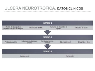 ULCERA NEUROTRÓFICA. DATOS CLÍNICOS