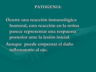 PATOGENIA: Ocurre una reacción inmunológica humoral, esta reacción en la retina parece representar una respuesta posterior ante la lesión inicial. Aunque  puede empeorar el daño inflamatorio al ojo. 