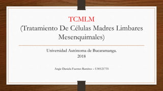 TCMLM
(Tratamiento De Células Madres Limbares
Mesenquimales)
Universidad Autónoma de Bucaramanga.
2018
Angie Daniela Fuentes Ramírez – U00121735
 