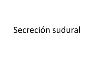 Secreción sudural