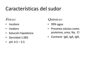 Características del sudorFísicas:IncoloroInodoroSolución hipotónicaDensidad 1.005pH: 4.5 – 5.5Químicas:99% aguaPresenta solutos como proteínas ,urea, Na,  ClContiene  IgG, IgA, IgD, 