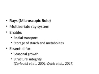 Multiseriate Rays Quercus_semecarpifolia dominant Himalaya oak tree | PPTX