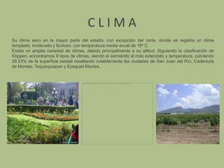 C L I M ASu clima seco en la mayor parte del estado, con excepción del norte, donde se registra un clima templado, moderado y lluvioso, con temperatura media anual de 18º C.Existe un amplia variedad de climas, debido principalmente a su altitud. Siguiendo la clasificación de Köppen, encontramos 9 tipos de climas, siendo el semiárido el más extendido y temperatura, cubriendo 39.53% de la superficie estatal resaltando notablemente las ciudades de San Juan del Río, Cadereyta de Montes, Tequisquiapan y Ezequiel Montes.