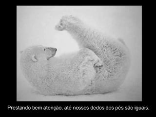 Prestando bem atenção, até nossos dedos dos pés são iguais. 