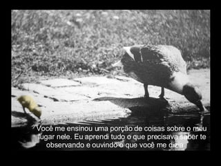 Você me ensinou uma porção de coisas sobre o meu  lugar nele. Eu aprendi tudo o que precisava saber te  observando e ouvindo o que você me dizia. 