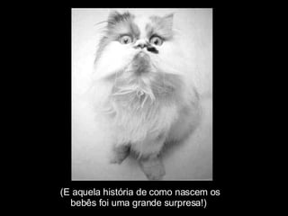 (E aquela história de como nascem os  bebês foi uma grande surpresa!) 