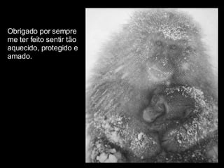 Obrigado por sempre  me ter feito sentir tão  aquecido, protegido e amado. 