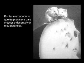 Por ter me dado tudo  que eu precisava para  crescer e desenvolver  meu potencial. 