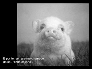 E por ter sempre me chamado  de seu “lindo anjinho”...  