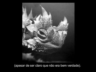 (apesar de ser claro que não era bem verdade). 