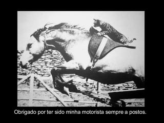 Obrigado por ter sido minha motorista sempre a postos. 