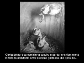 Obrigado por sua comidinha caseira e por ter enchido minha  lancheira com tanto amor e coisas gostosas, dia após dia... 