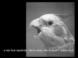 e não ficar repetindo “não te disse, não te disse?” a toda hora.  