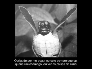 Obrigado por me pegar no colo sempre que eu  queria um chamego, ou ver as coisas de cima. 