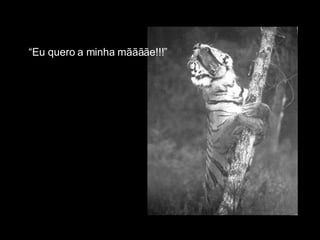 “ Eu quero a minha mããããe!!!” 