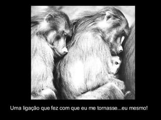 Uma ligação que fez com que eu me tornasse...eu mesmo! 