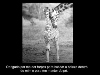 Obrigado por me dar forças para buscar a beleza dentro  de mim e para me manter de pé. 