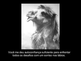 Você me deu autoconfiança suficiente para enfrentar todos os desafios com um sorriso nos lábios. 