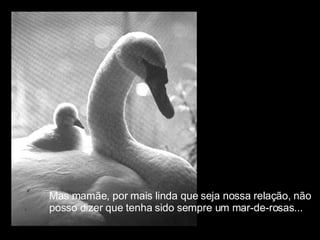 Mas mamãe, por mais linda que seja nossa relação, não  posso dizer que tenha sido sempre um mar-de-rosas... 