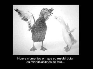 Houve momentos em que eu resolvi botar  as minhas asinhas de fora... 