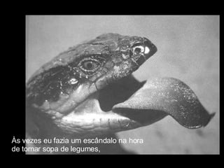Às vezes eu fazia um escândalo na hora  de tomar sopa de legumes, 