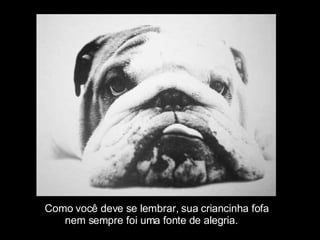 Como você deve se lembrar, sua criancinha fofa  nem sempre foi uma fonte de alegria. 