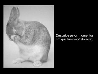 Desculpe pelos momentos  em que tirei você do sério, 