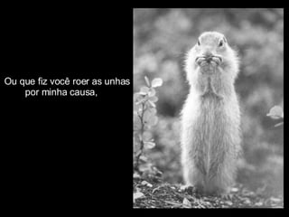 Ou que fiz você roer as unhas por minha causa, 