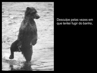 Desculpe pelas vezes em  que tentei fugir do banho, 