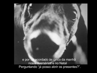 e por ter acordado às cinco da manhã  nos aniversários e no Natal  Perguntando “já posso abrir os presentes?”. 