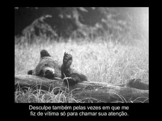 Desculpe também pelas vezes em que me  fiz de vítima só para chamar sua atenção. 