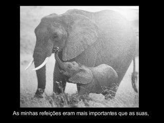 As minhas refeições eram mais importantes que as suas, 