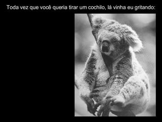 Toda vez que você queria tirar um cochilo, lá vinha eu gritando: 