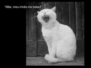 “ Mãe, meu irmão me bateu!” 