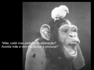 “ Mãe, cadê meu pintinho de estimação? Acorda mãe e vem me ajudar a procurar!” 