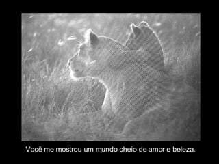Você me mostrou um mundo cheio de amor e beleza. 