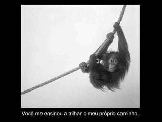Você me ensinou a trilhar o meu próprio caminho... 