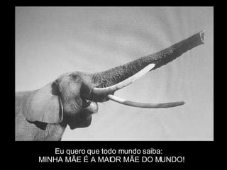 Eu quero que todo mundo saiba: MINHA MÃE É A MAIOR MÃE DO MUNDO! 