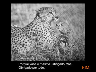 Porque você  é mesmo . Obrigado mãe. Obrigado por tudo. FIM 