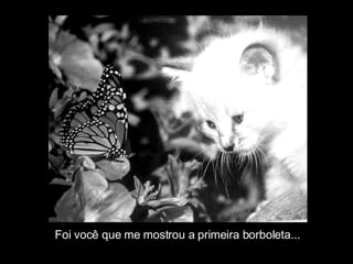 Foi você que me mostrou a primeira borboleta... 