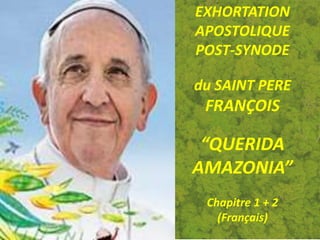 EXHORTATION
APOSTOLIQUE
POST-SYNODE
du SAINT PERE
FRANÇOIS
“QUERIDA
AMAZONIA”
Chapitre 1 + 2
(Français)
 