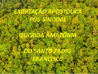 EXORTAÇÃO APOSTÓLICA
PÓS-SINODAL
QUERIDA AMAZÔNIA
DO SANTO PADRE
FRANCISCO
 
