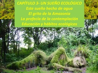 CAPÍTULO 3- UN SUEÑO ECOLÓGICO
Este sueño hecho de agua
El grito de la Amazonia
La profecía de la contemplación
Educación y hábitos ecológicos
 