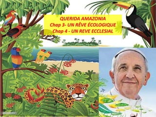 QUERIDA AMAZONIA
Chap 3- UN RÊVE ÉCOLOGIQUE
Chap 4 - UN REVE ECCLESIAL
 
