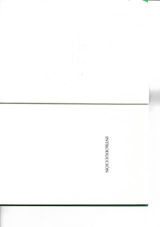 Querida Ijeawele. Cómo educar en el feminismo