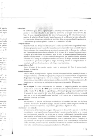 Querido maestro (c42)