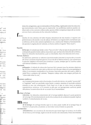 Querido maestro (c42)