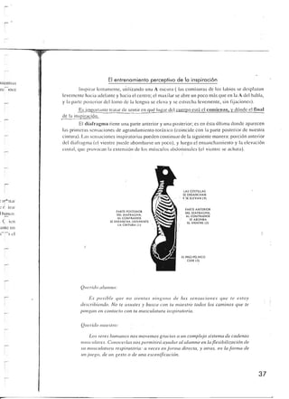 Querido maestro (c42)