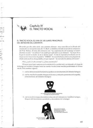 Querido maestro (c42)